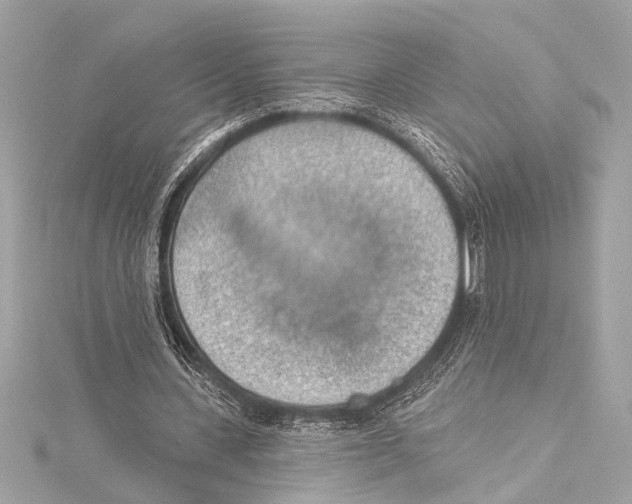 X0000115420531200912011328