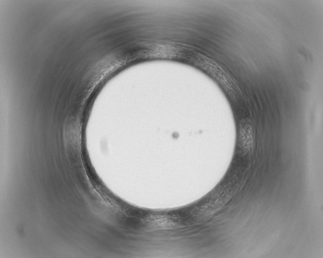 X0000115420534200912011328