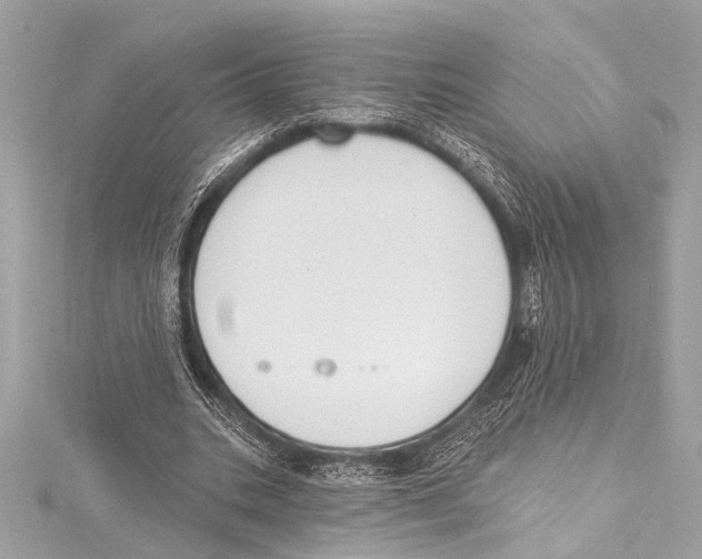 X0000115420535200912011328