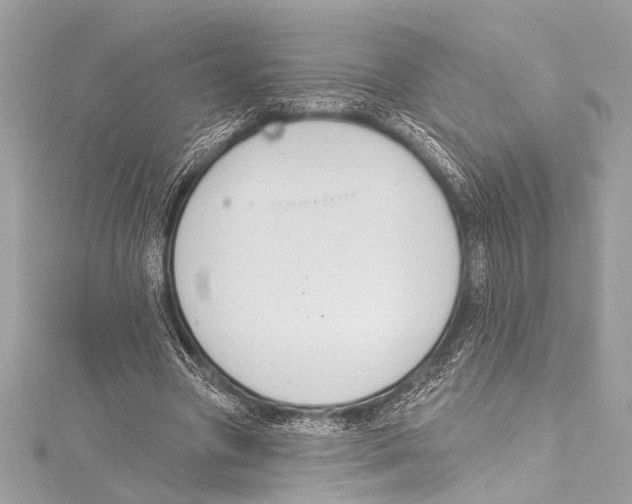 X0000115420537200912011328