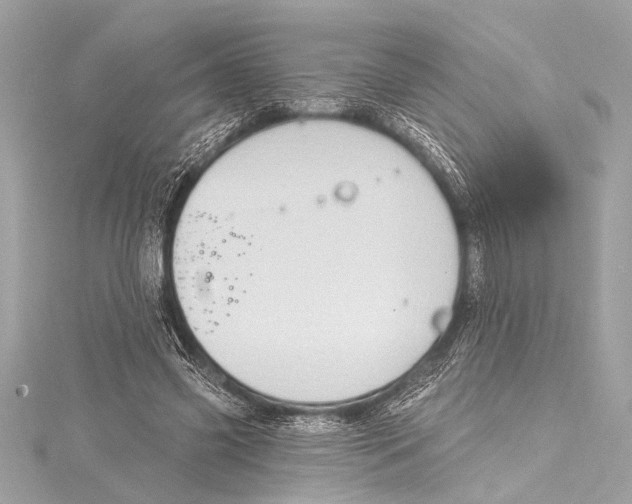 X0000115420541200912011328