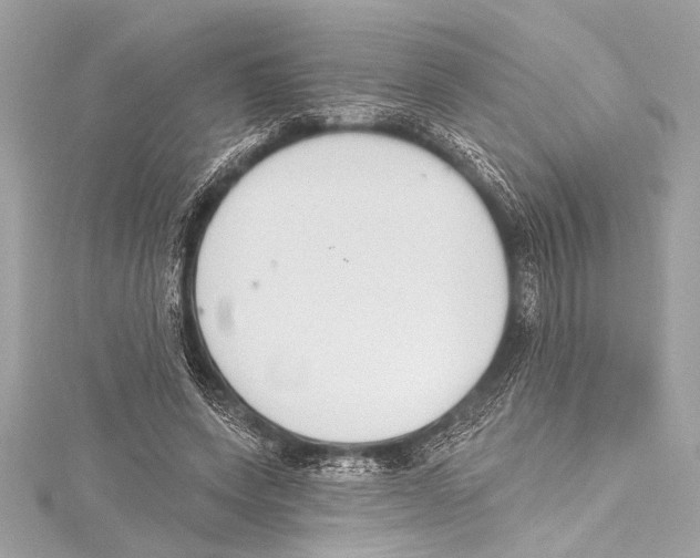 X0000115420543200912011328