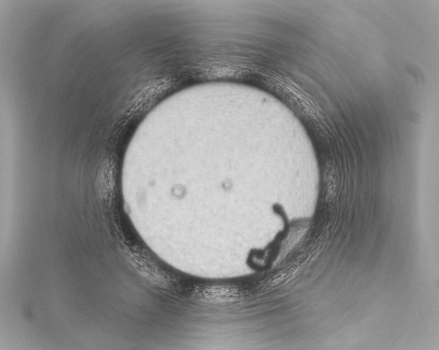 X0000115420546200912011328