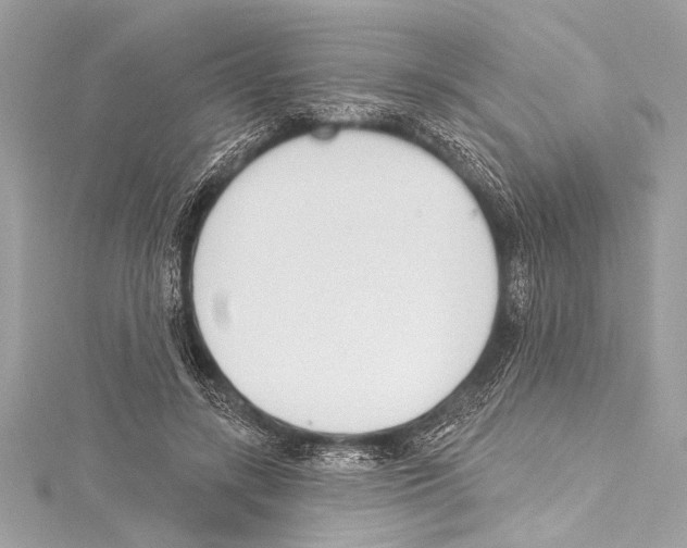 X0000115420547200912011328