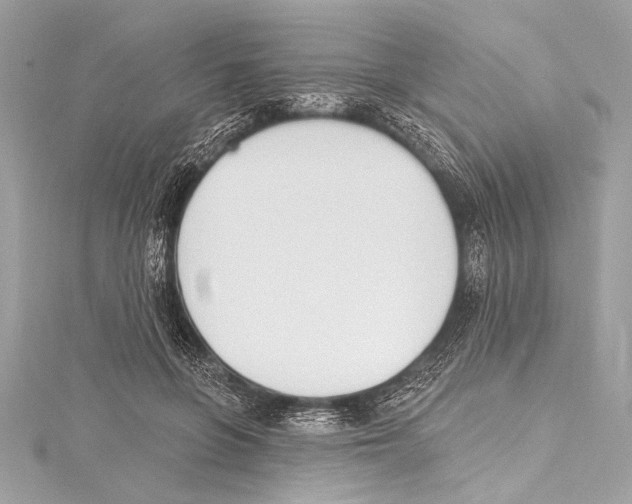 X0000115420551200912011329