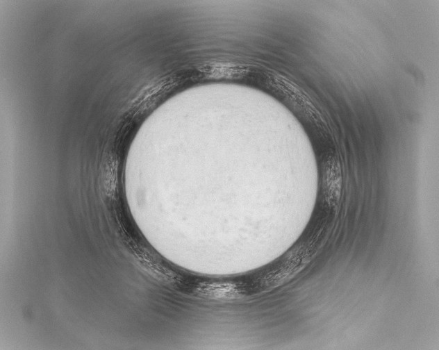 X0000115420554200912011329