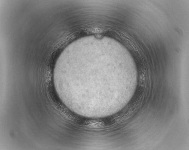 X0000115420555200912011329