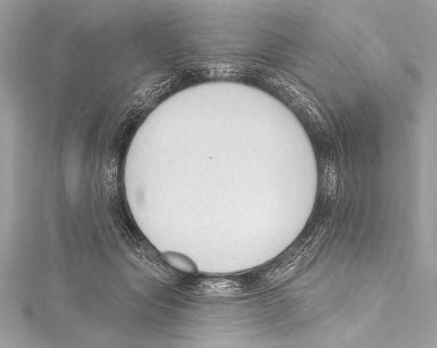 X0000115420557200912011329