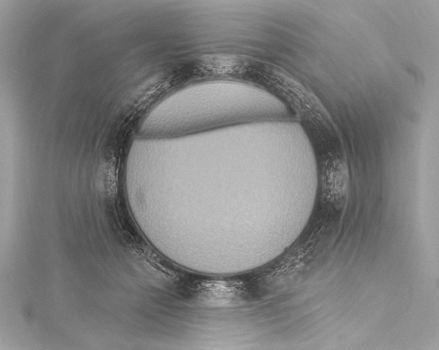 X0000115420558200912011329