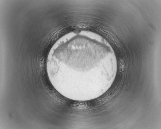 X0000115420559200912011329