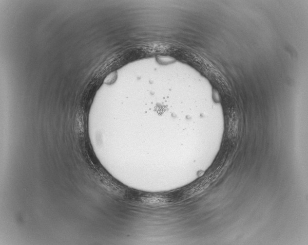 X0000115420561200912011329