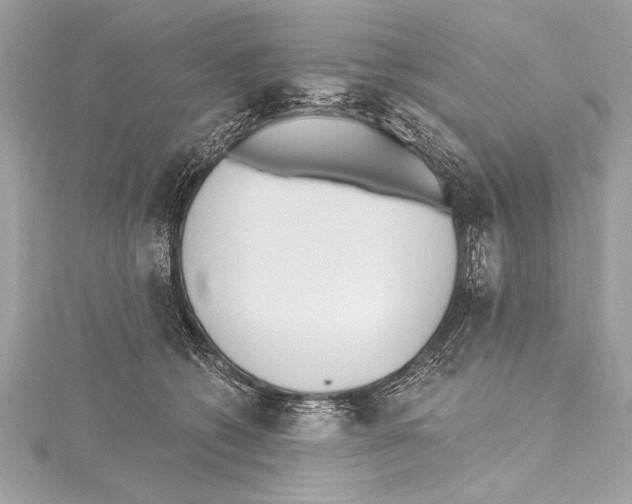 X0000115420562200912011329