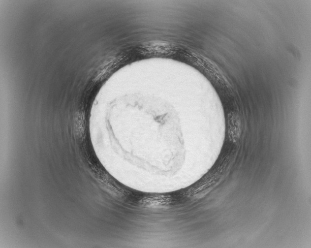 X0000115420563200912011329