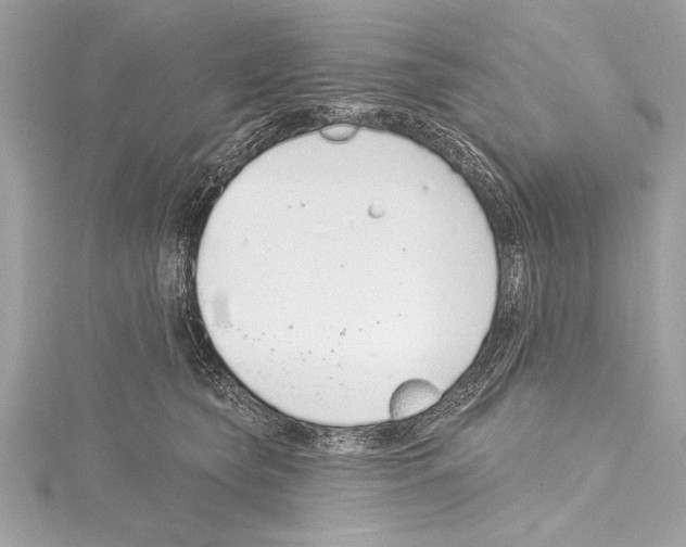 X0000115420565200912011329