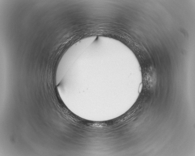 X0000115420566200912011329