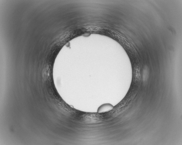 X0000115420567200912011329