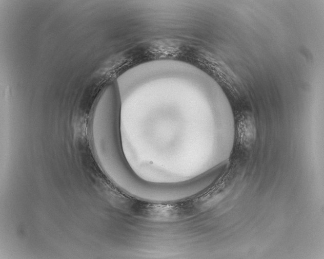 X0000115420570200912011329