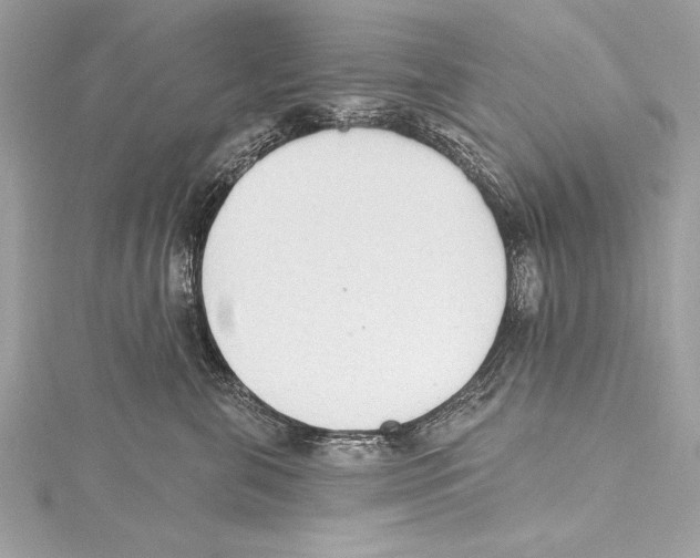 X0000115420571200912011329