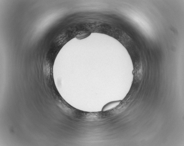 X0000115420574200912011329