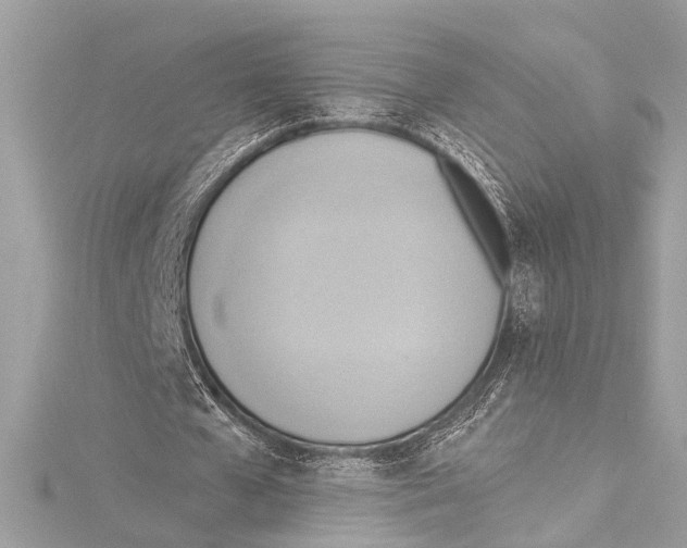 X0000115420577200912011328