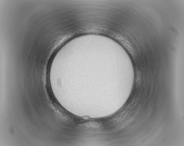 X0000115420578200912011328