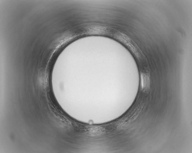 X0000115420579200912011328