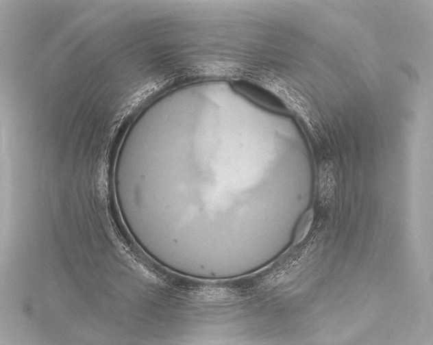 X0000115420581200912011328