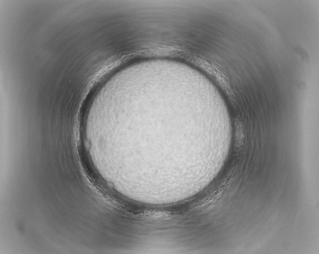 X0000115420582200912011328