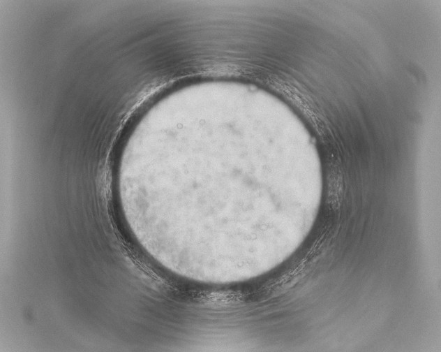 X0000115420584200912011328