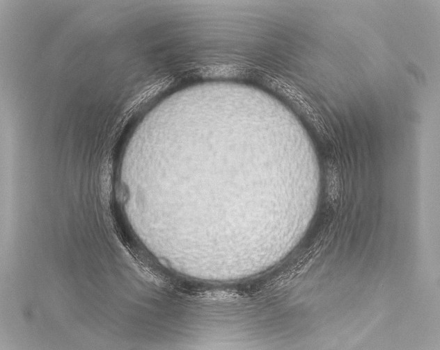 X0000115420586200912011328