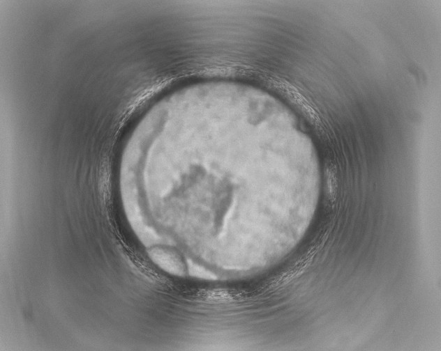 X0000115420588200912011328