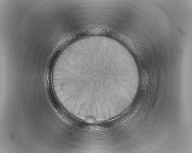 X0000115420590200912011328