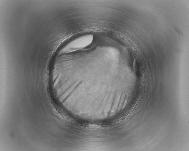 X0000115420592200912011328