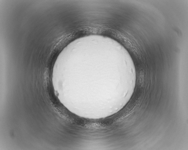 X0000115420594200912011328