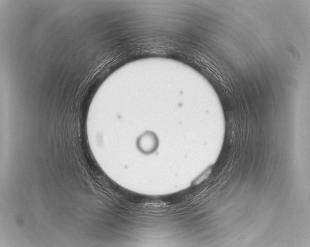 X0000115420595200912011328