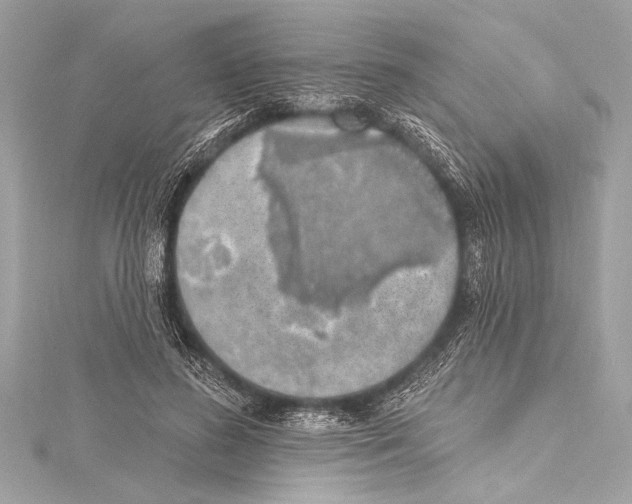 X0000115420596200912011328