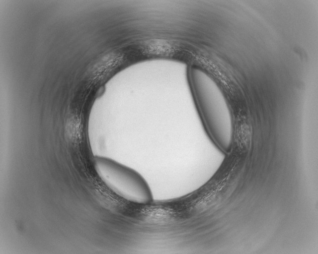 X0000115420597200912011328