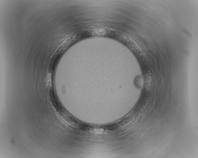 X0000115420598200912011328