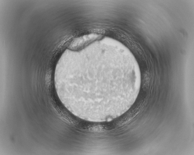 X0000115420600200912011328