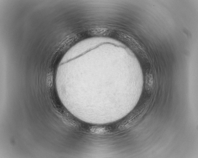 X0000115420602200912011328