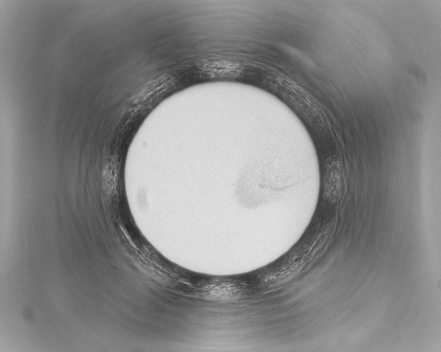 X0000115420604200912011328