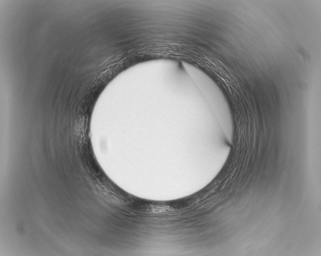 X0000115420605200912011328