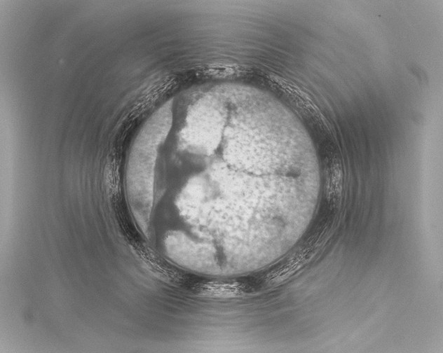 X0000115420606200912011328