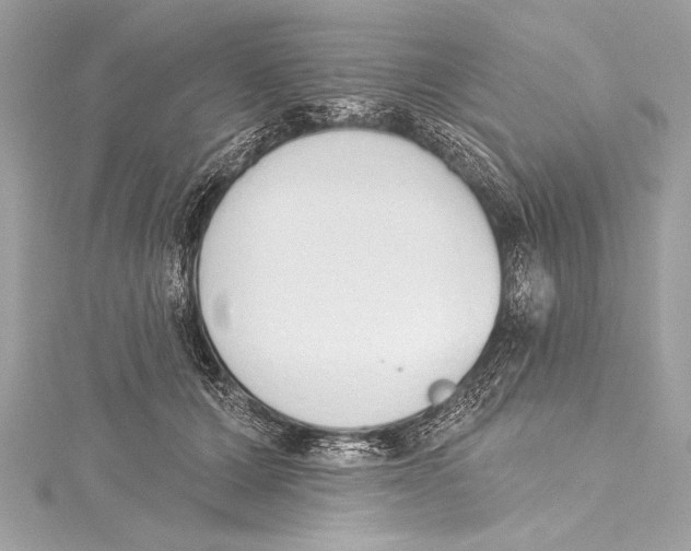 X0000115420607200912011328