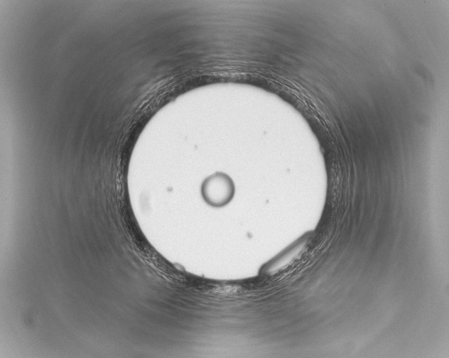 X0000115420609200912011328