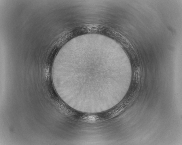 X0000115420610200912011328