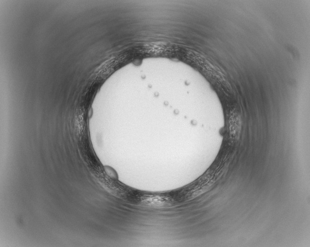 X0000115420611200912011328