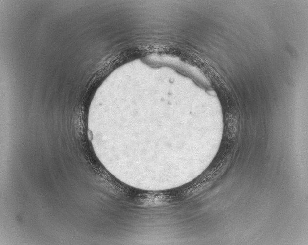 X0000115420612200912011328