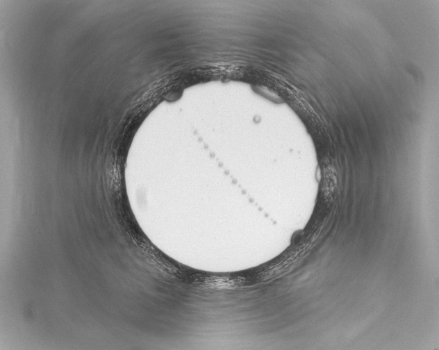 X0000115420613200912011328