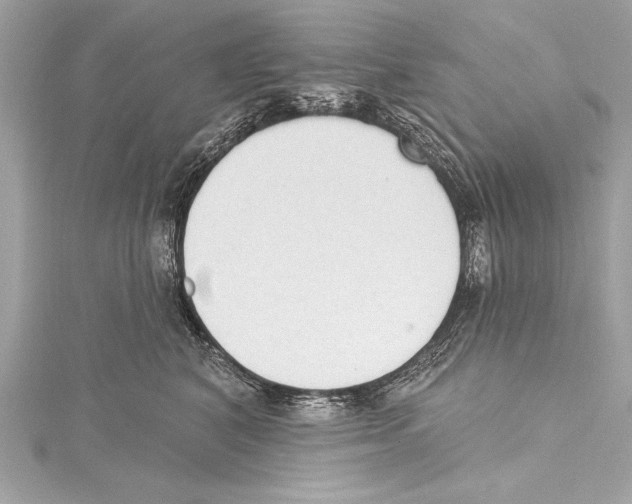 X0000115420616200912011328